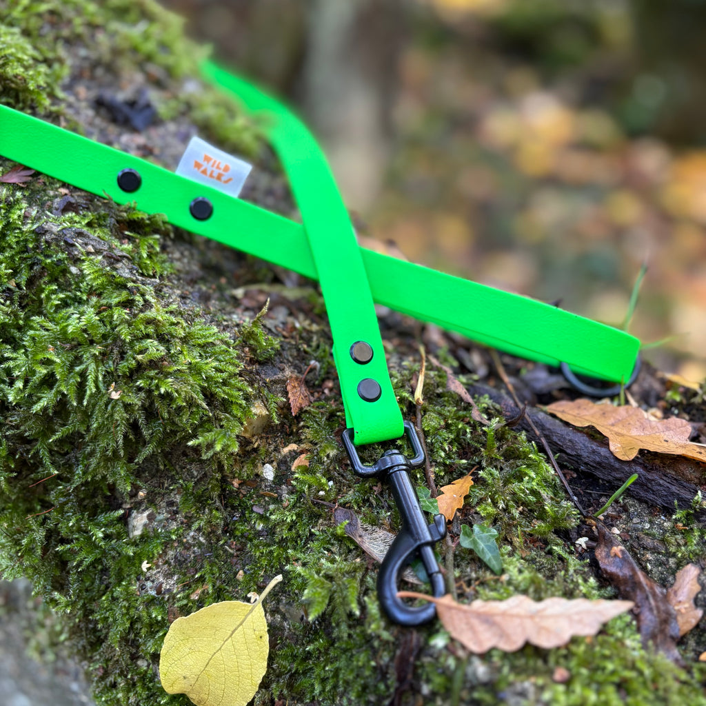 Aurora Waterproof Lead