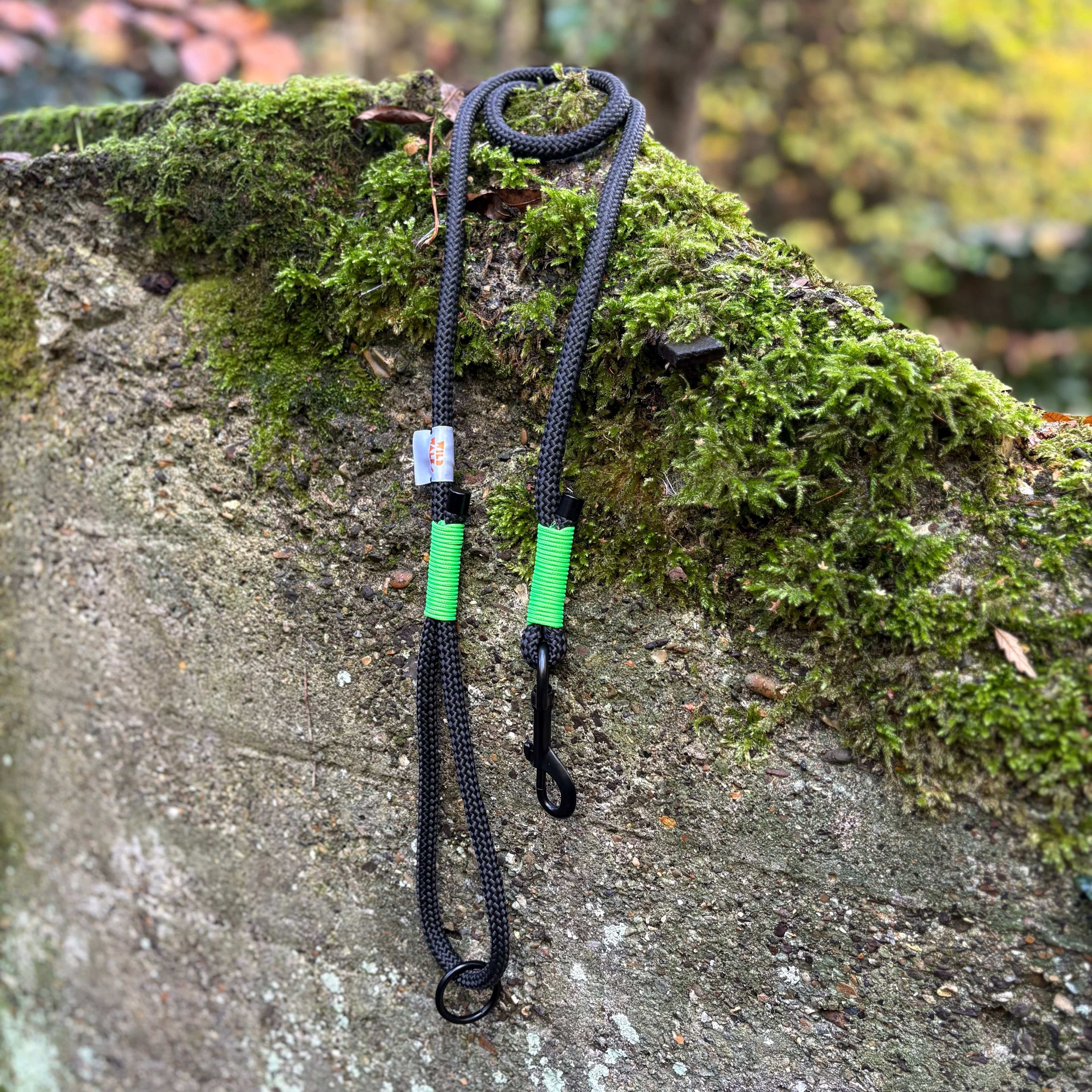 Aurora Premium Rope Lead