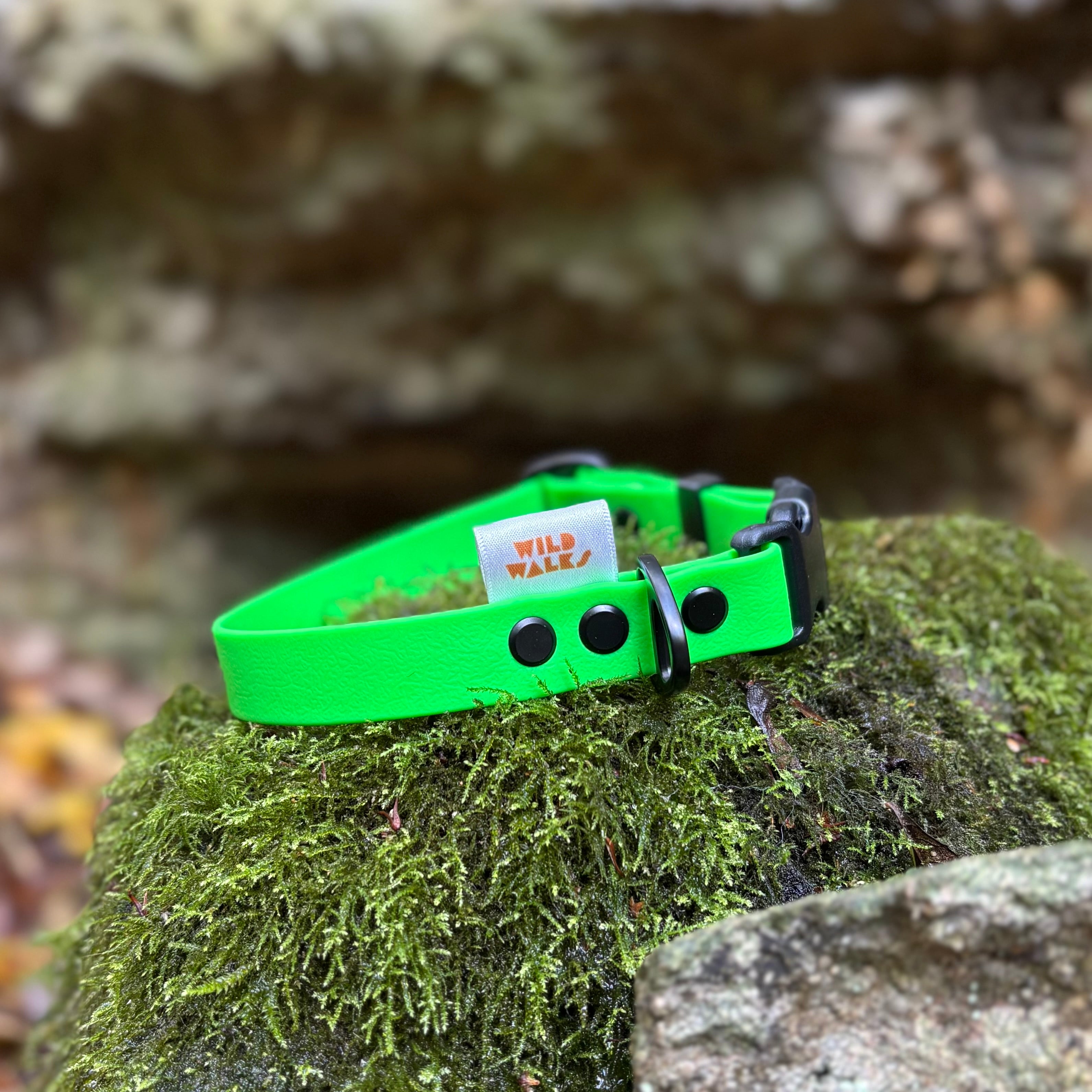 Aurora Waterproof Collar