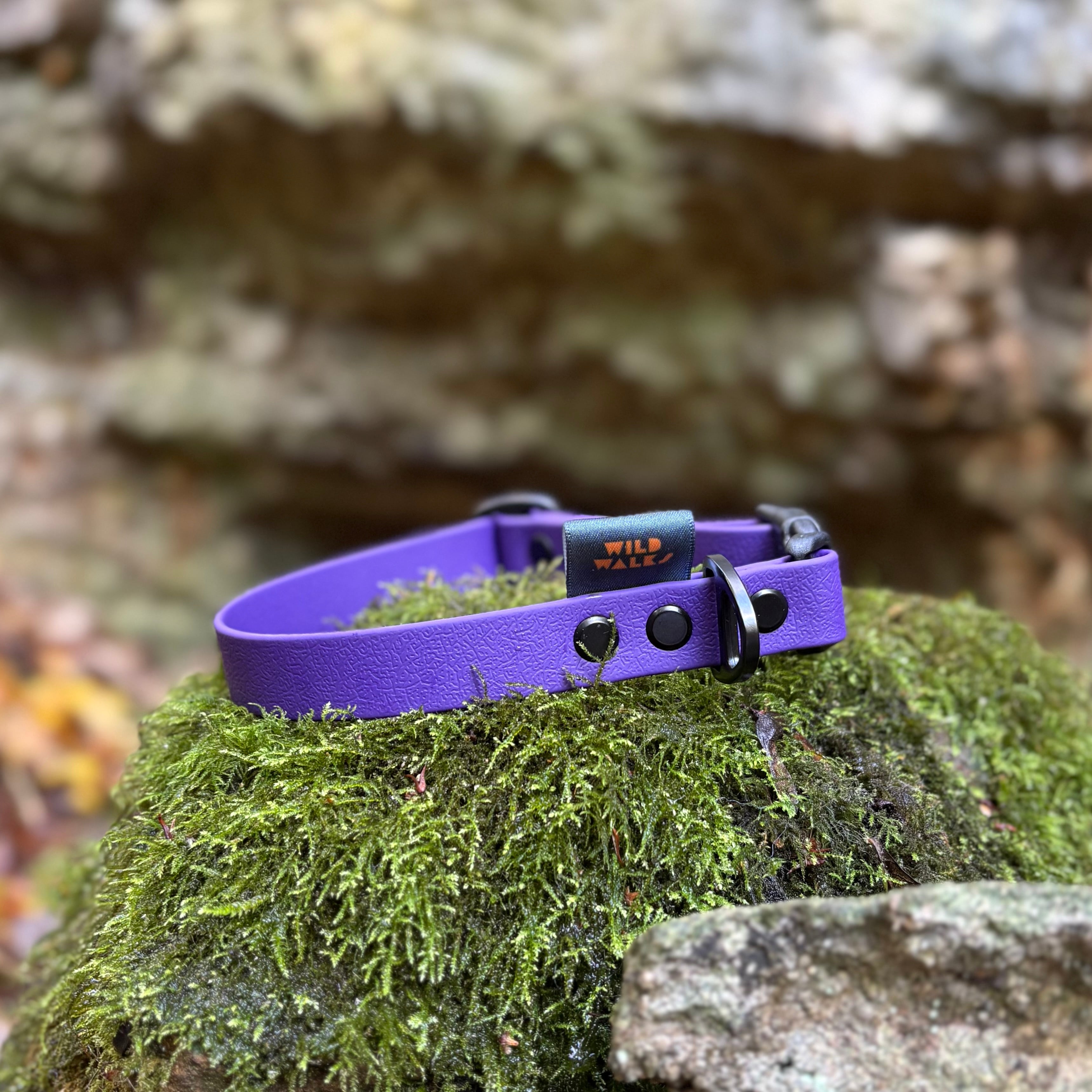 Aurora Waterproof Collar