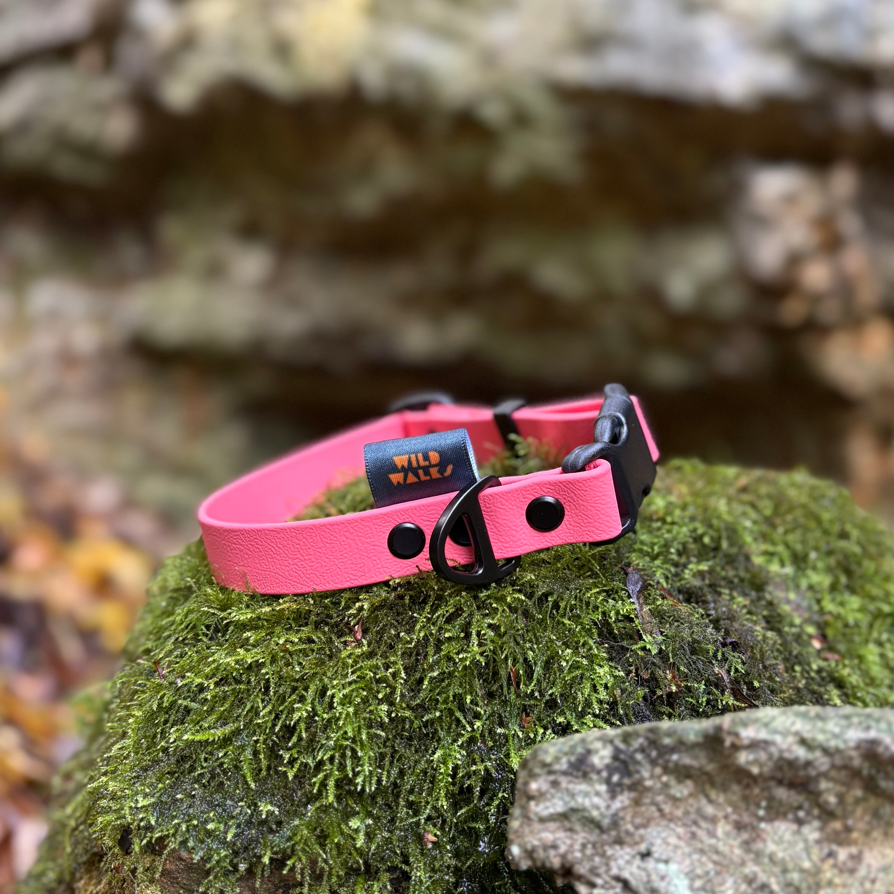 Aurora Waterproof Collar