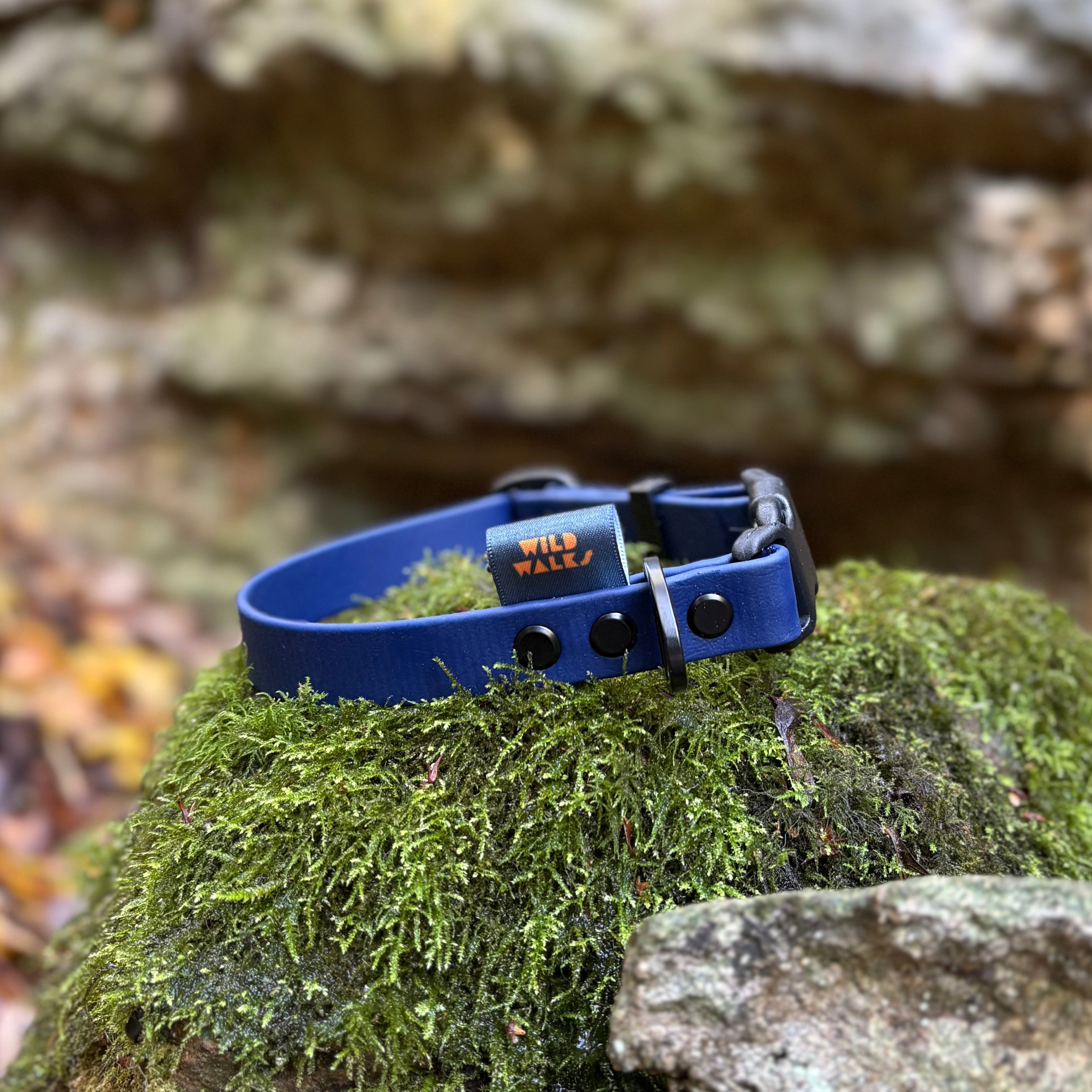 Aurora Waterproof Collar