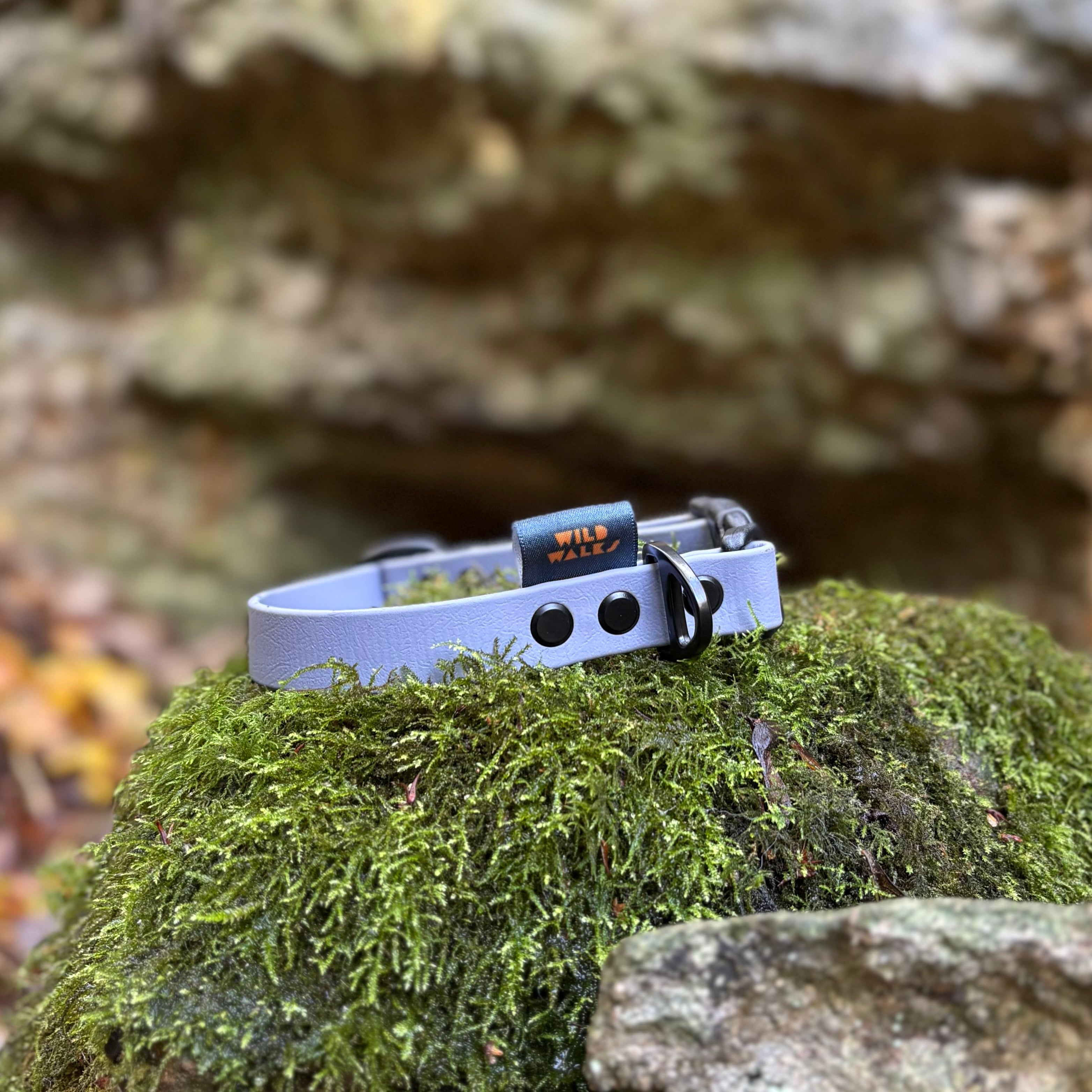 Aurora Waterproof Collar