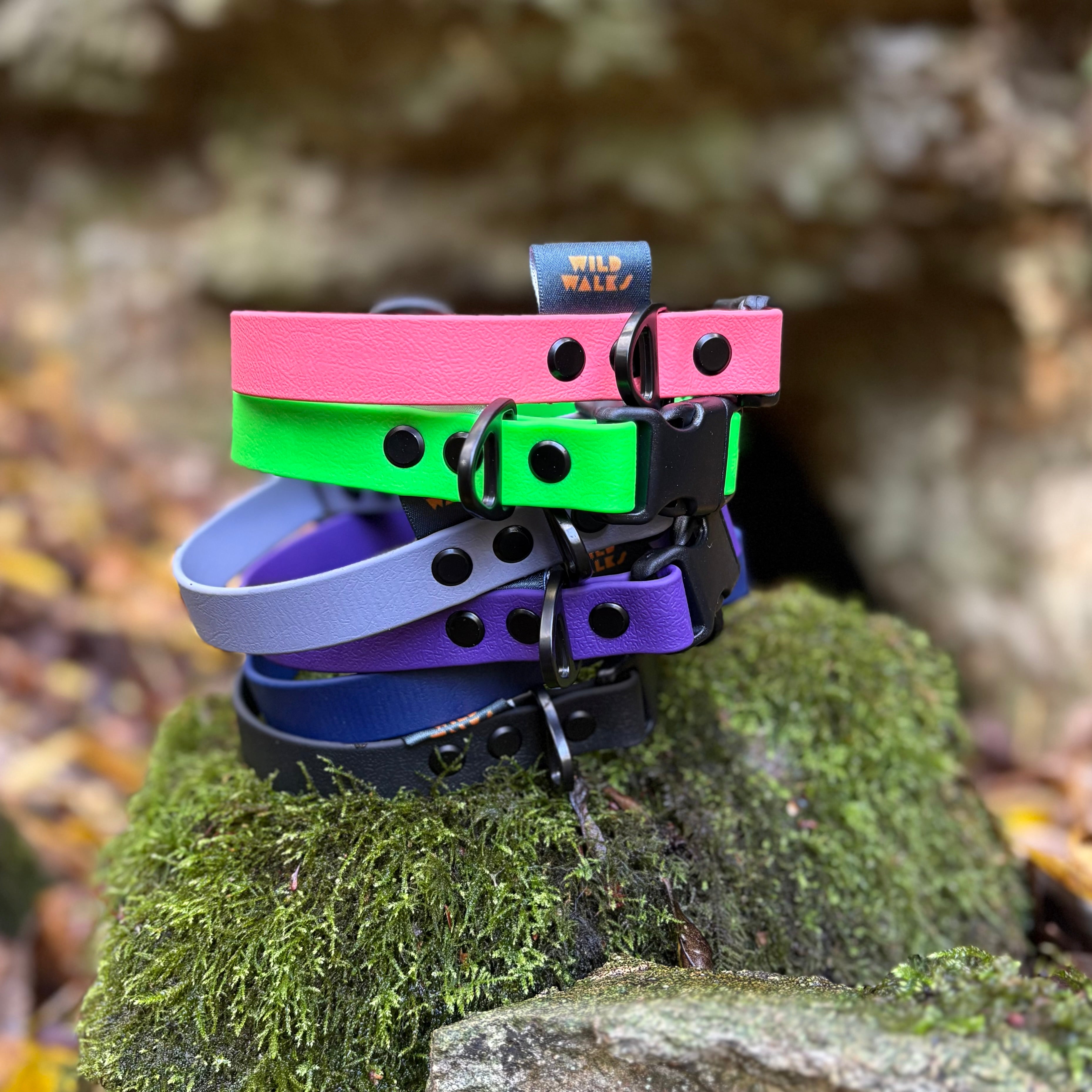 Aurora Waterproof Collar