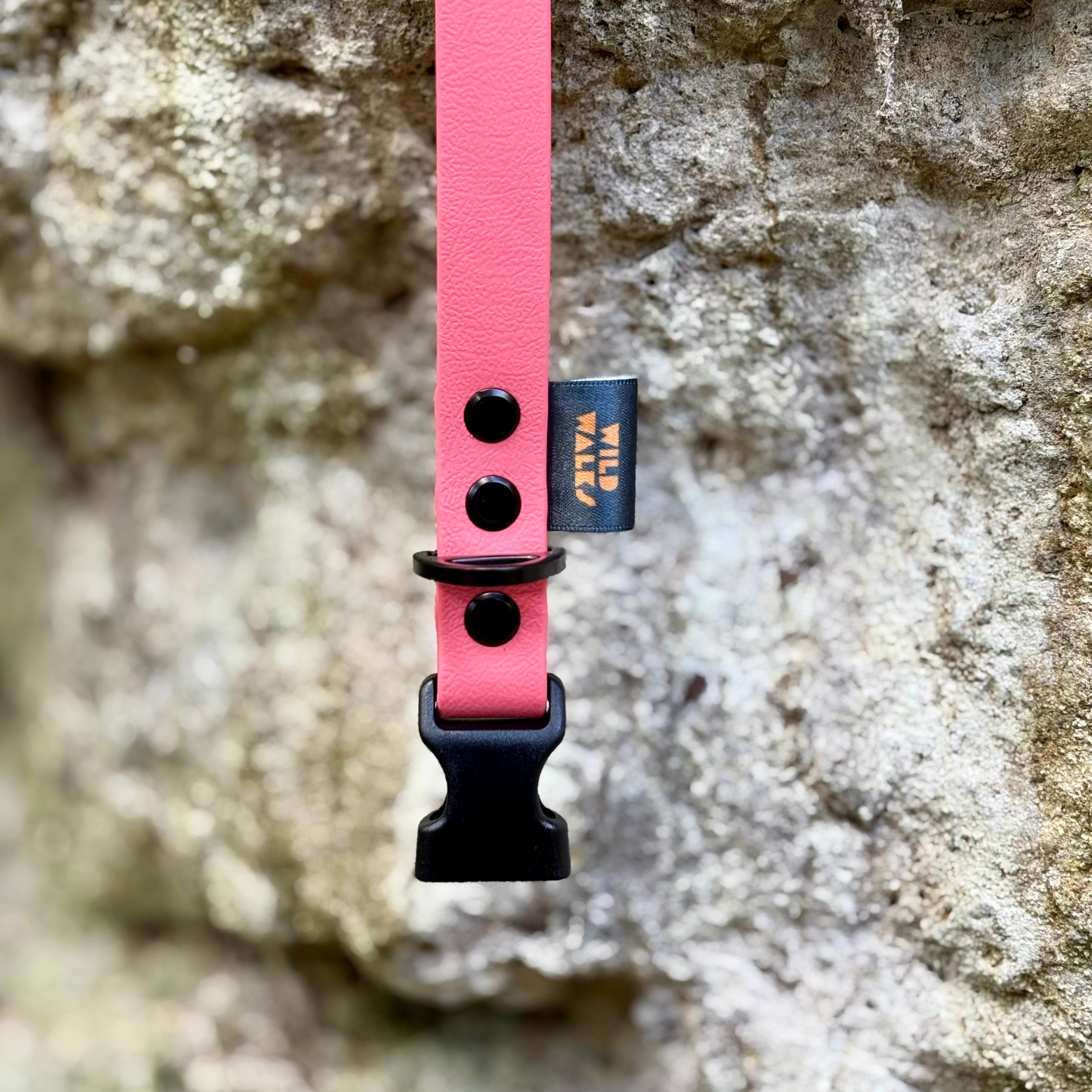 Aurora Waterproof Collar