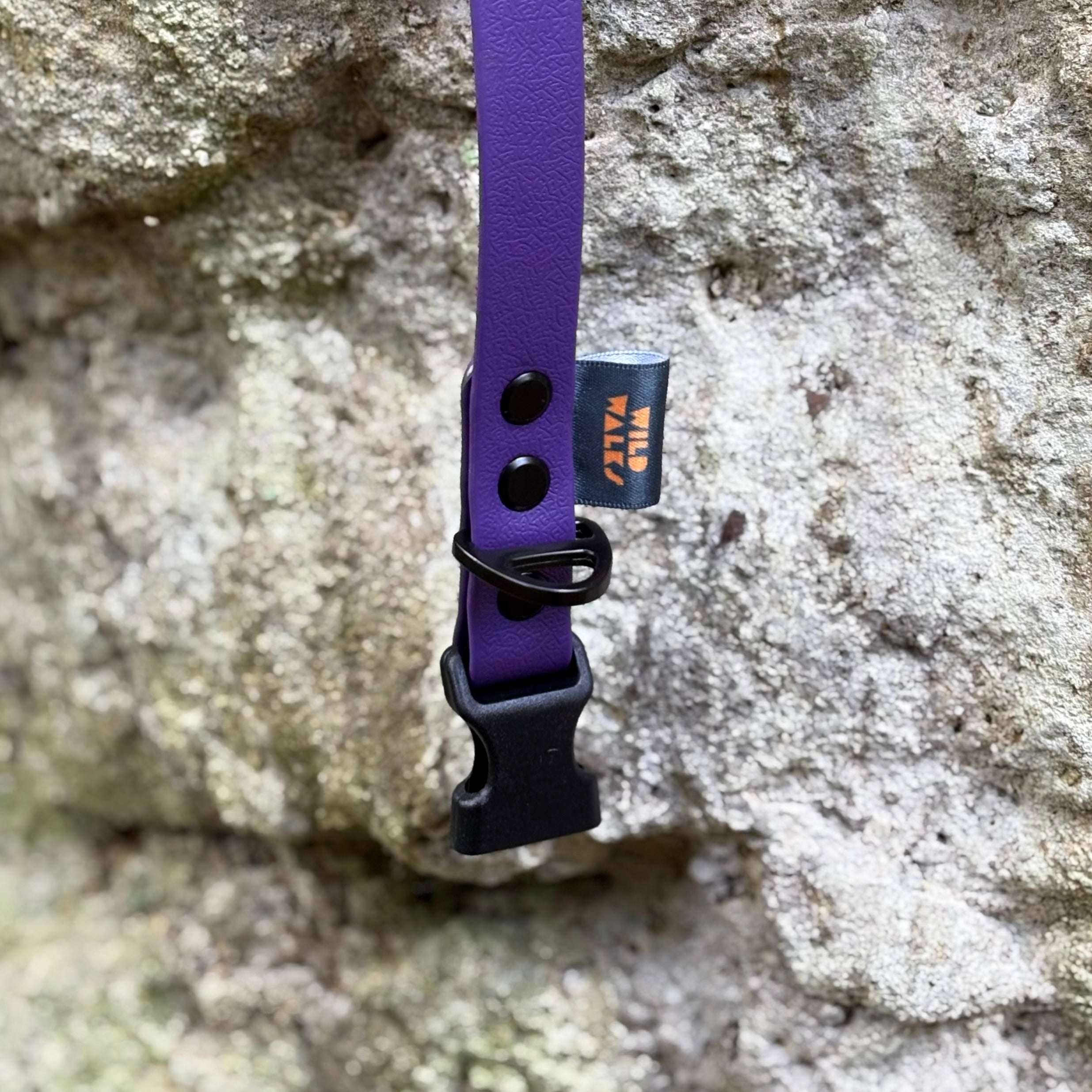 Aurora Waterproof Collar