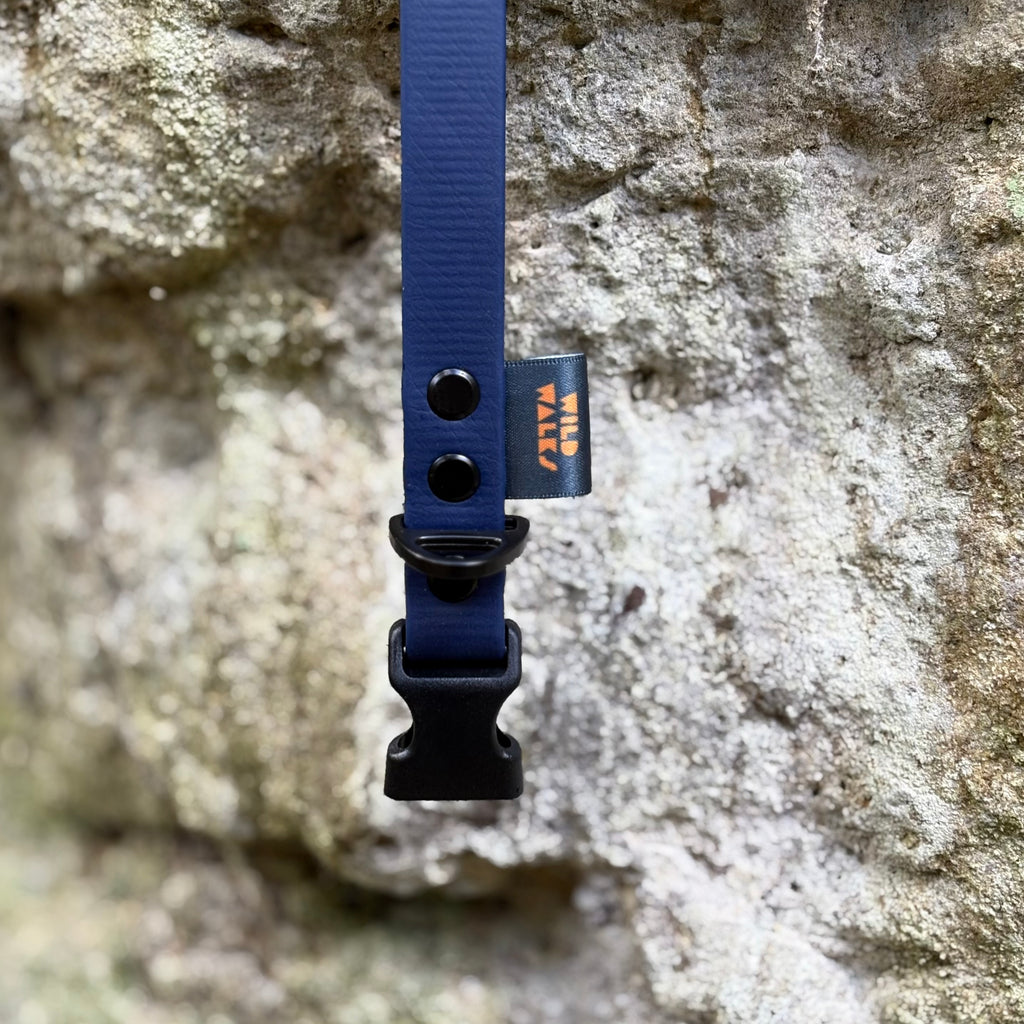 Aurora Waterproof Collar