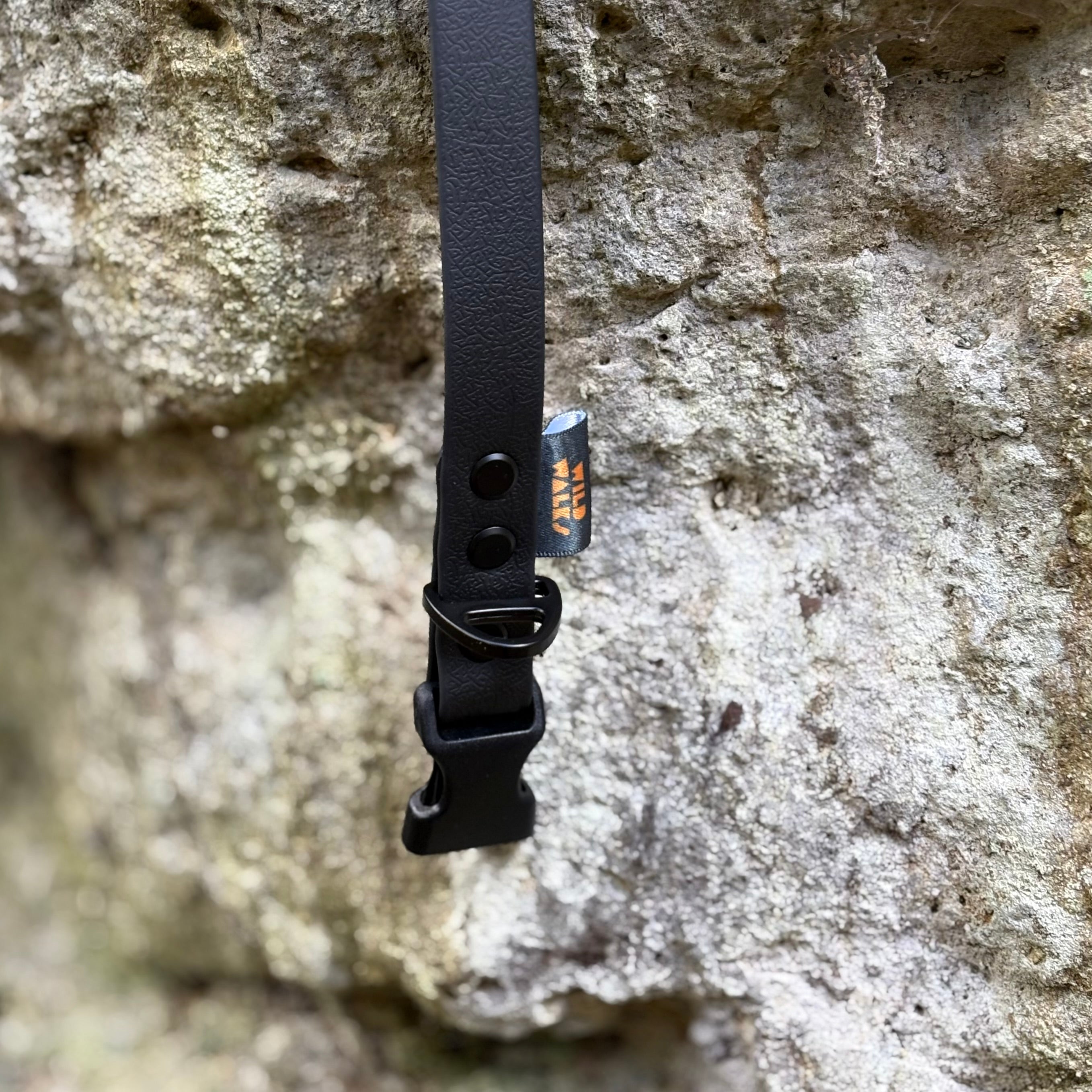 Aurora Waterproof Collar