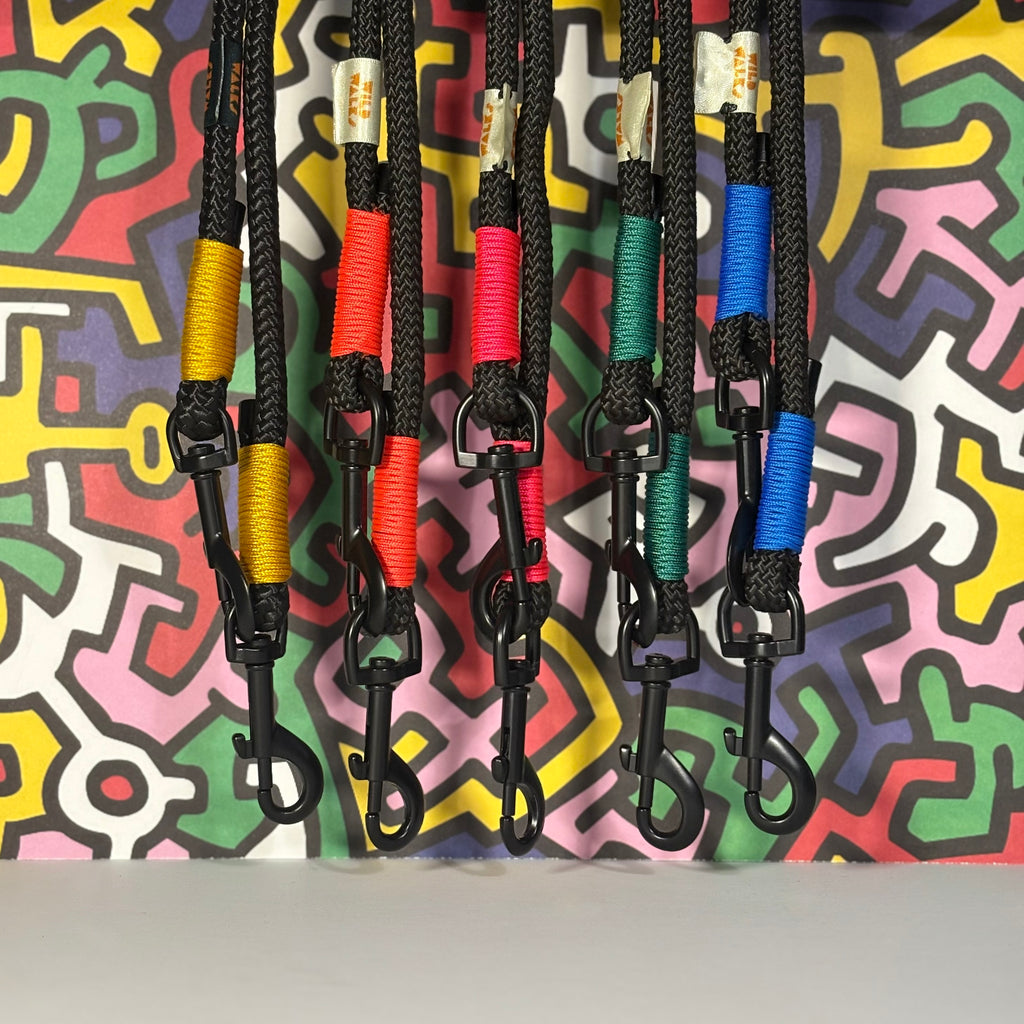 Retro Rave Premium Rope Training Lead