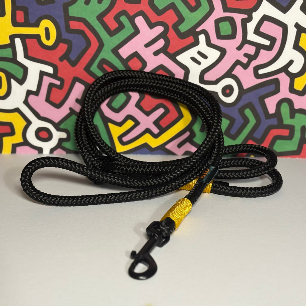 Retro Rave Premium Rope Training Lead