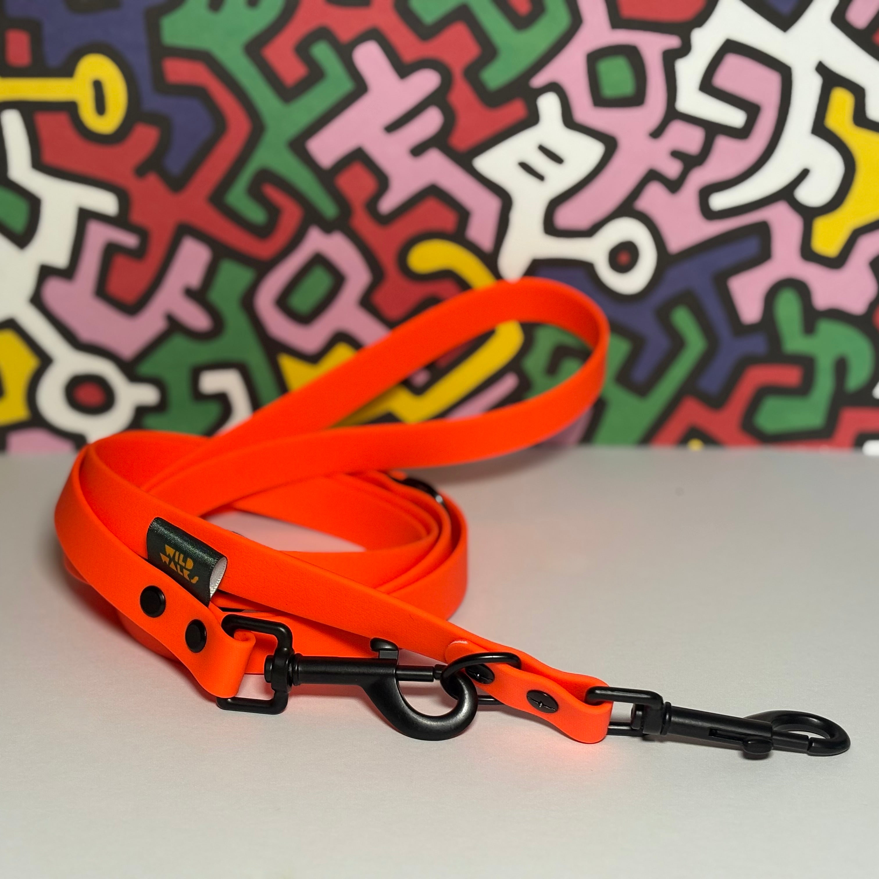 Retro Rave Waterproof Training Lead