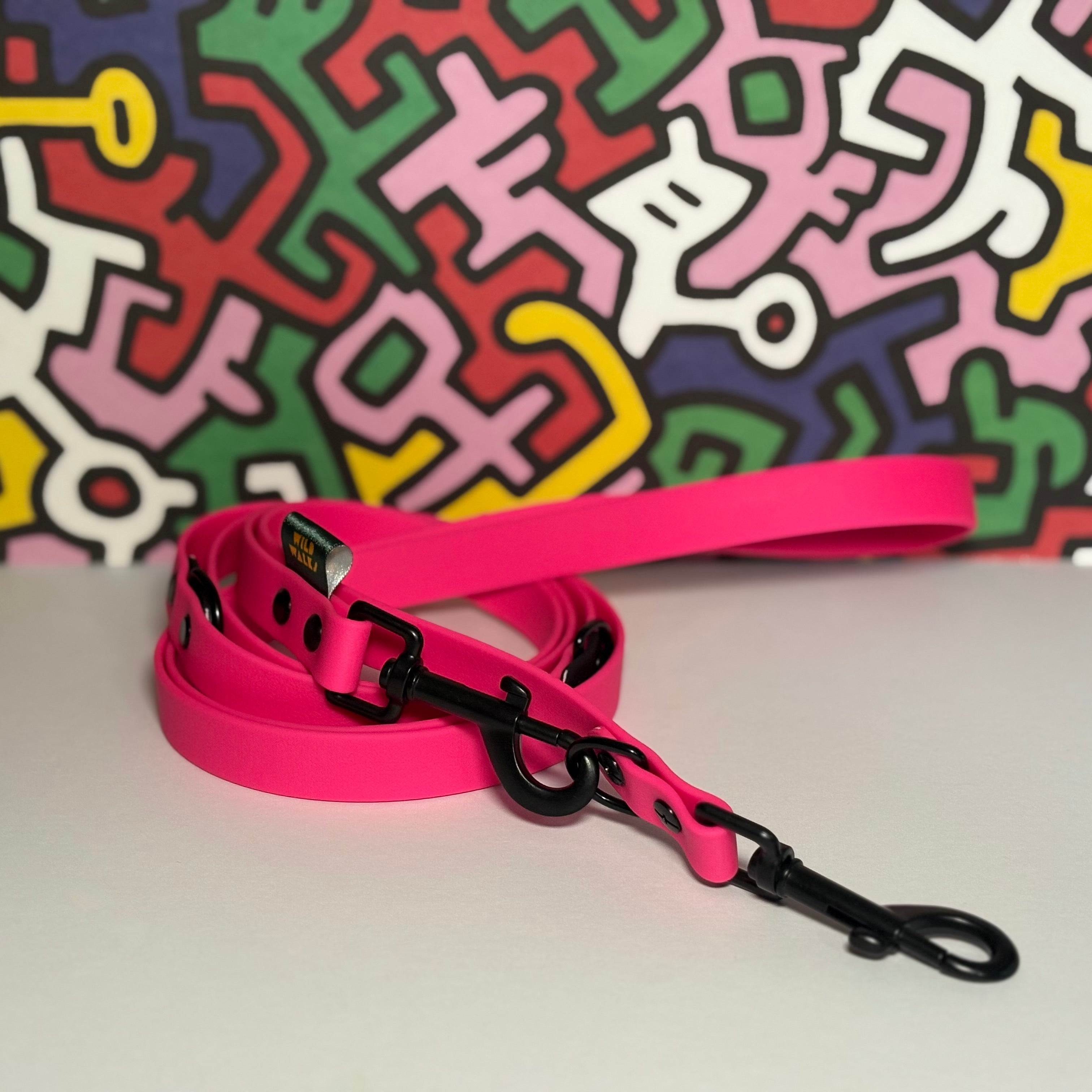Retro Rave Waterproof Training Lead