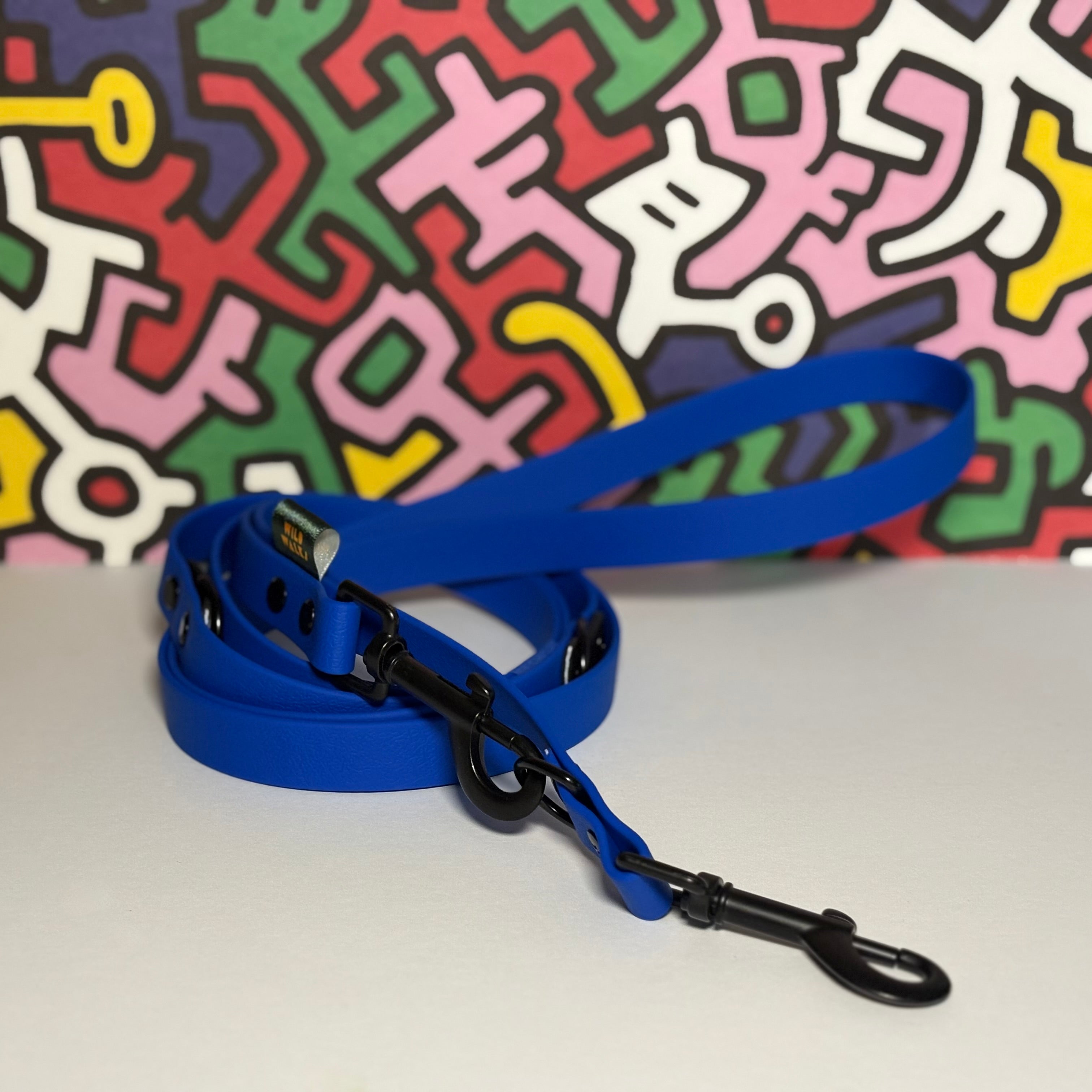 Retro Rave Waterproof Training Lead