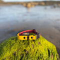 Two Tone Waterproof Collar