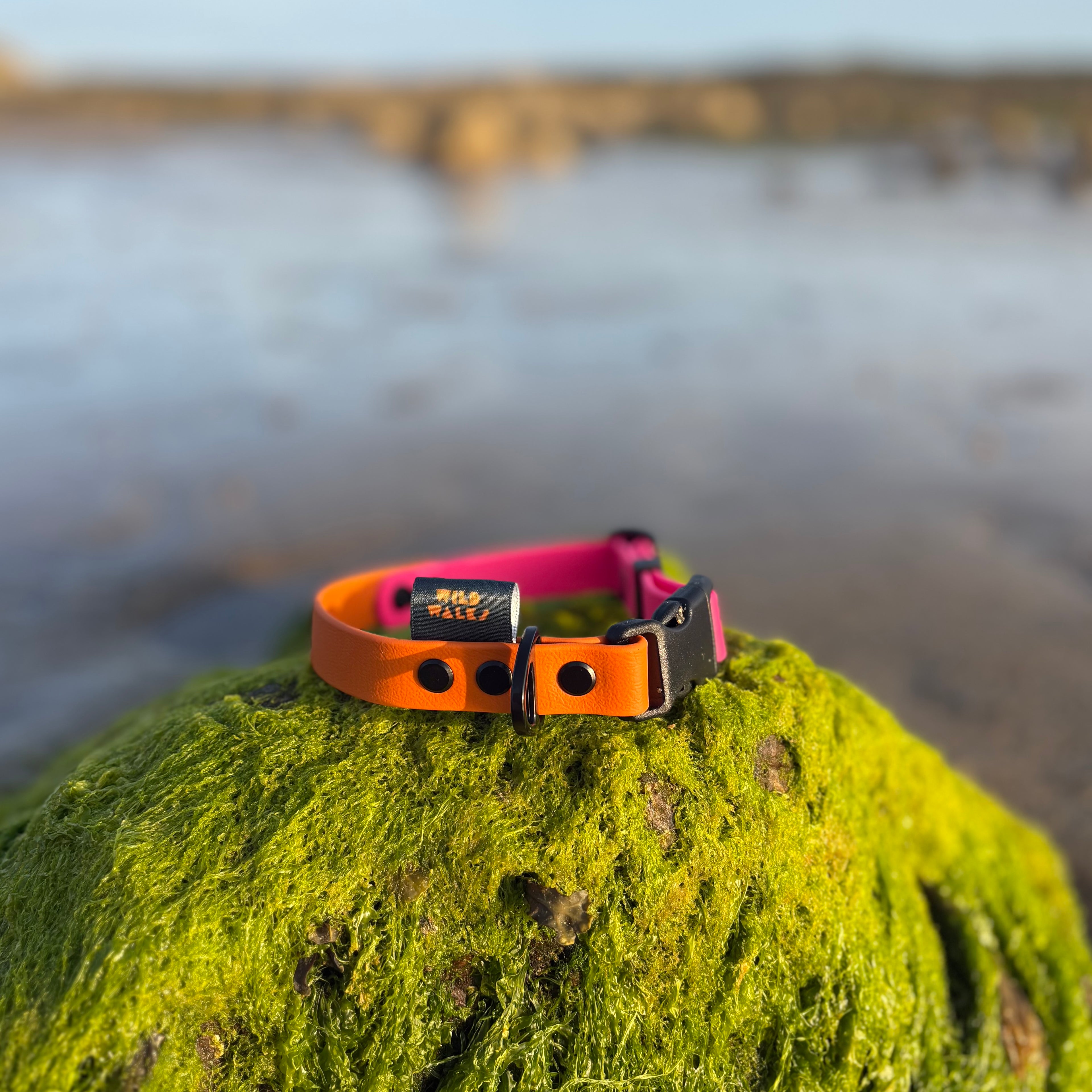 Two Tone Waterproof Collar