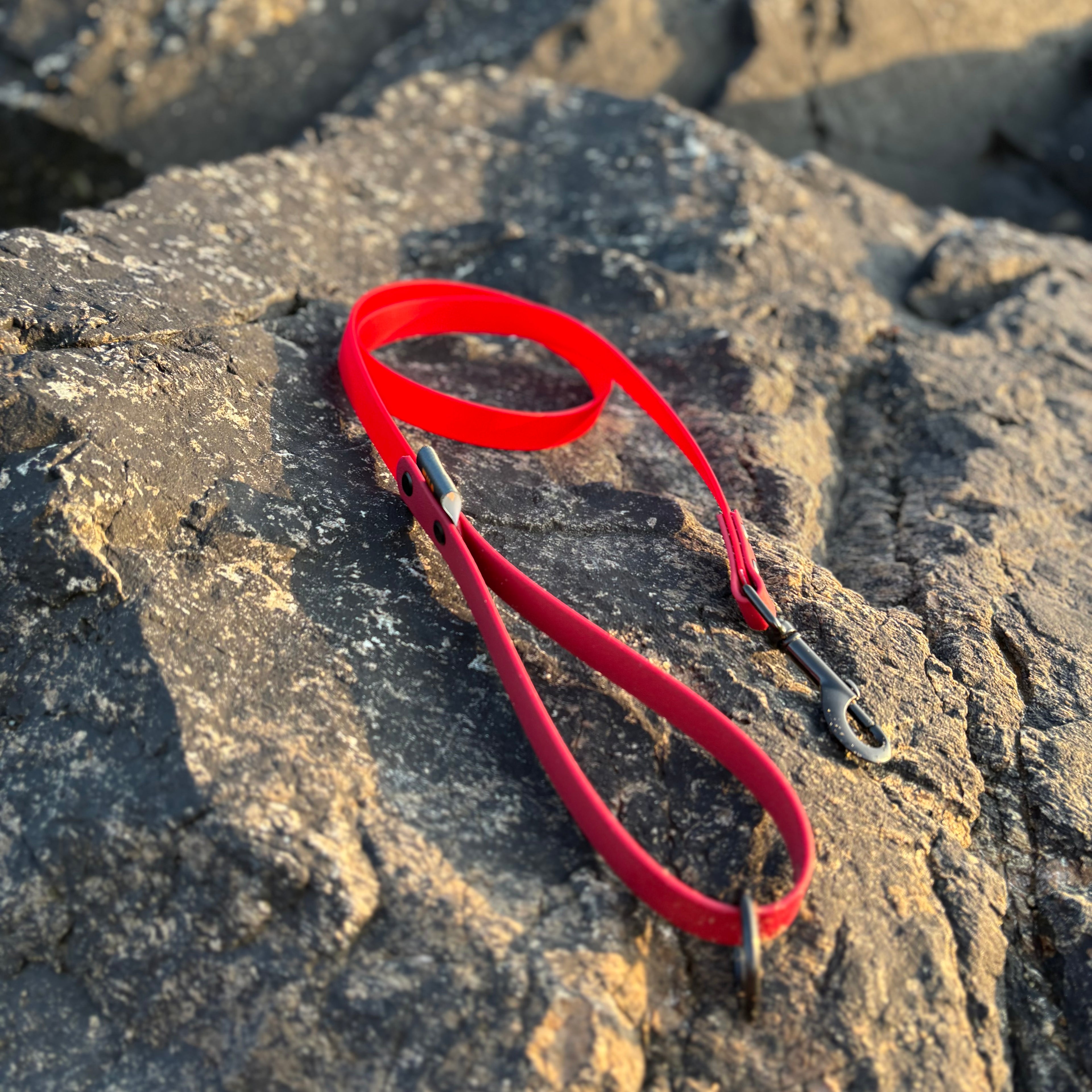 Two Tone Waterproof Lead