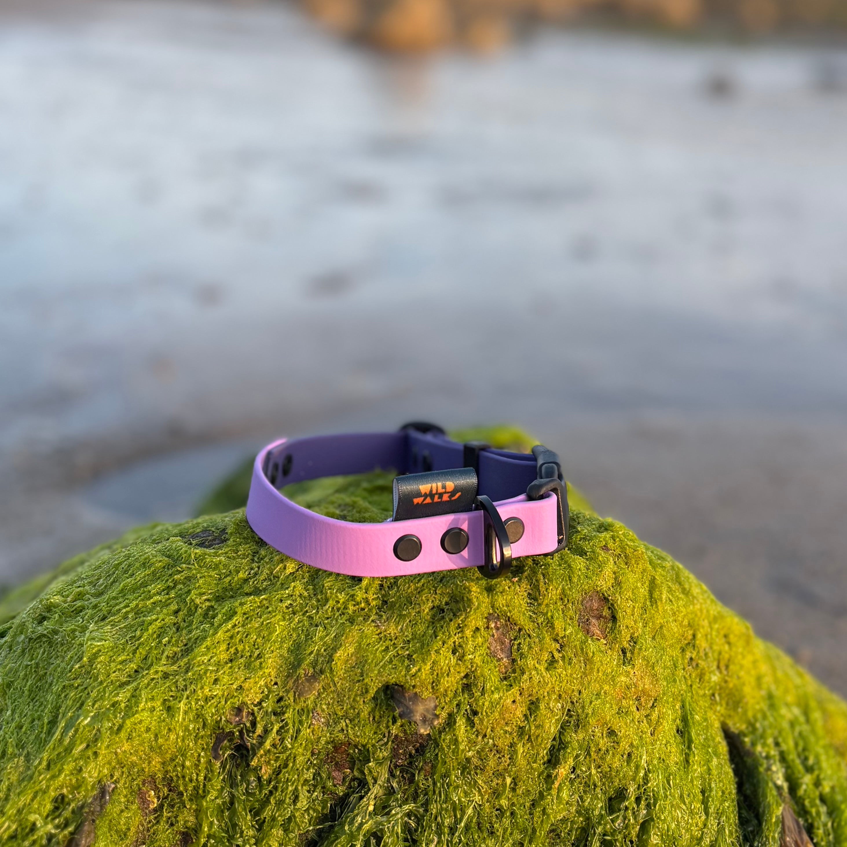 Two Tone Waterproof Collar