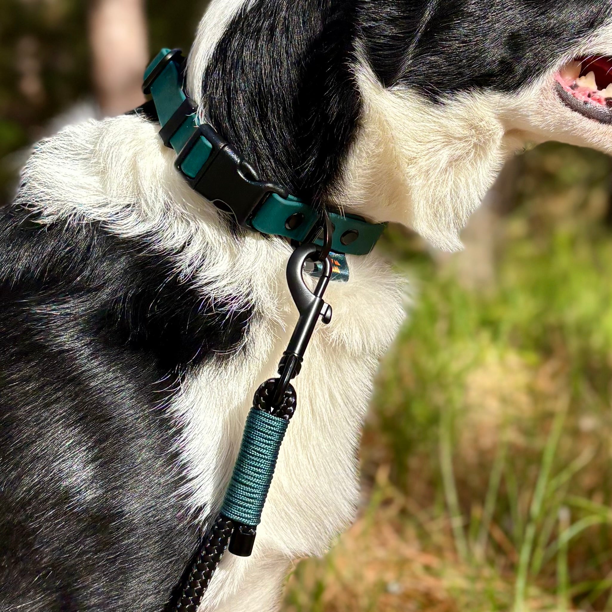 Autumn Adventures Premium Rope Lead