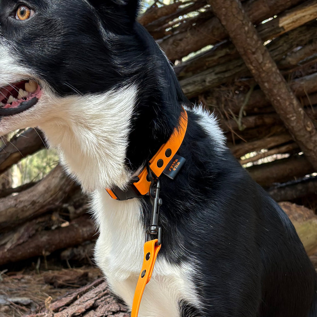 Autumn Adventures Waterproof Lead