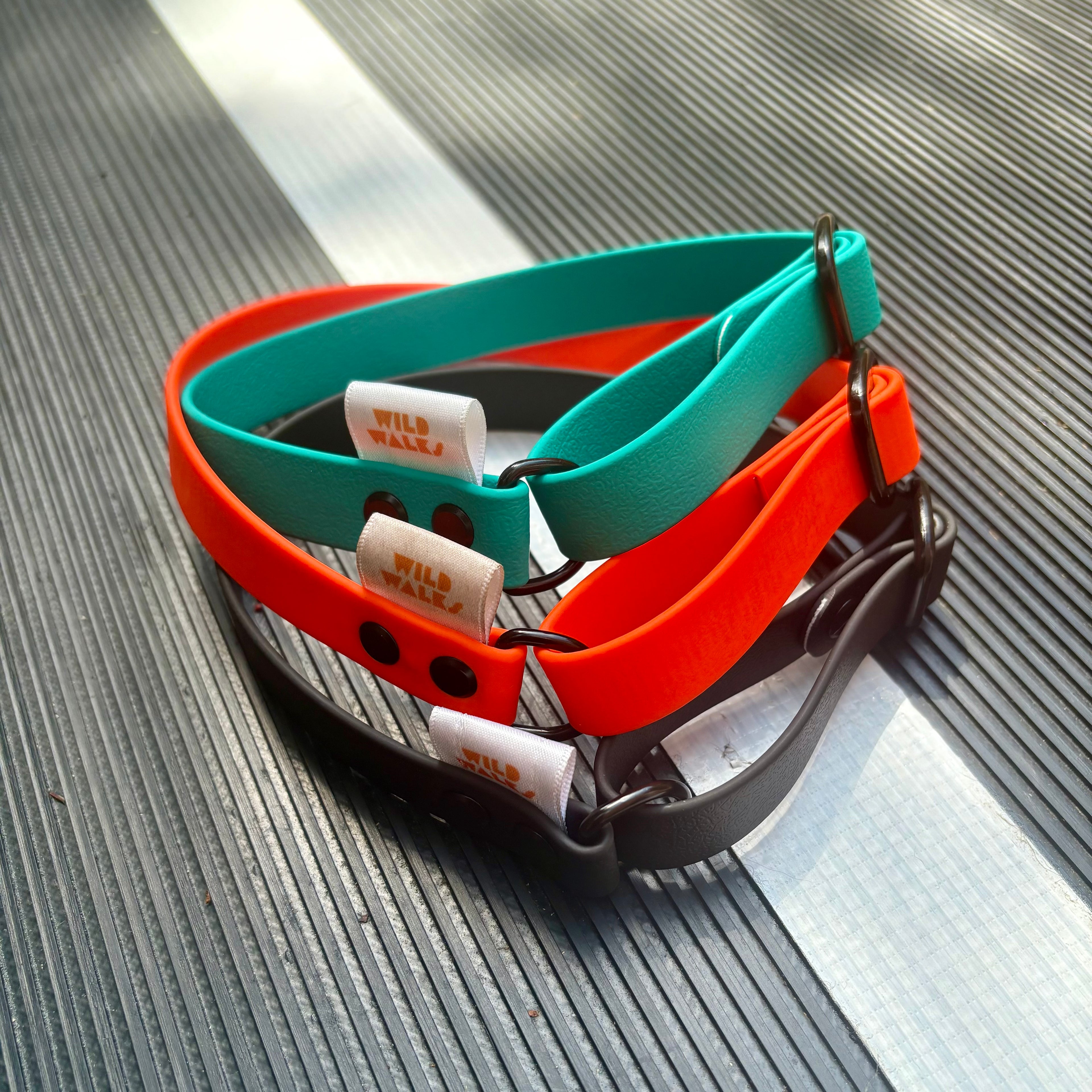 Custom Flyball Racing Collar