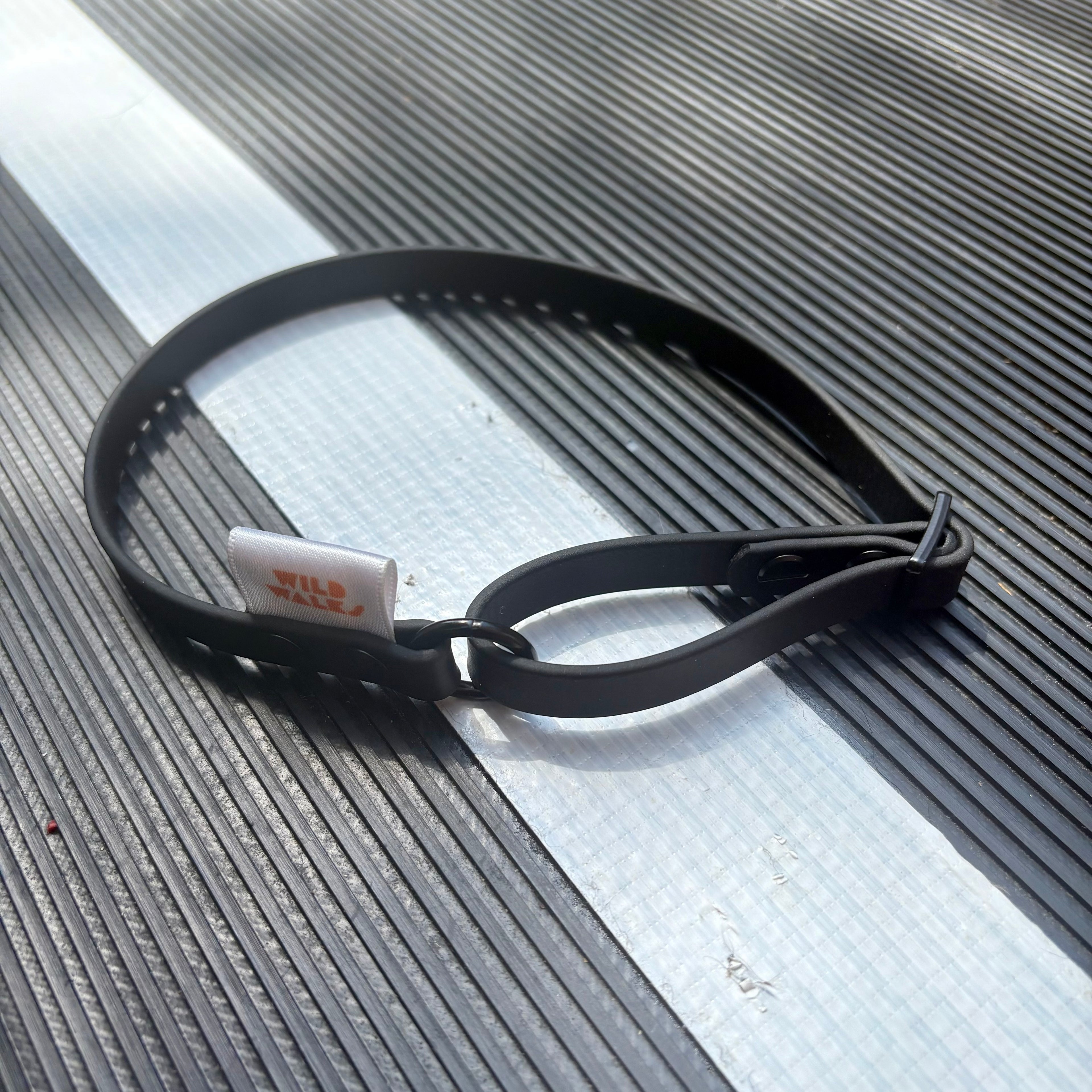 Custom Flyball Racing Collar