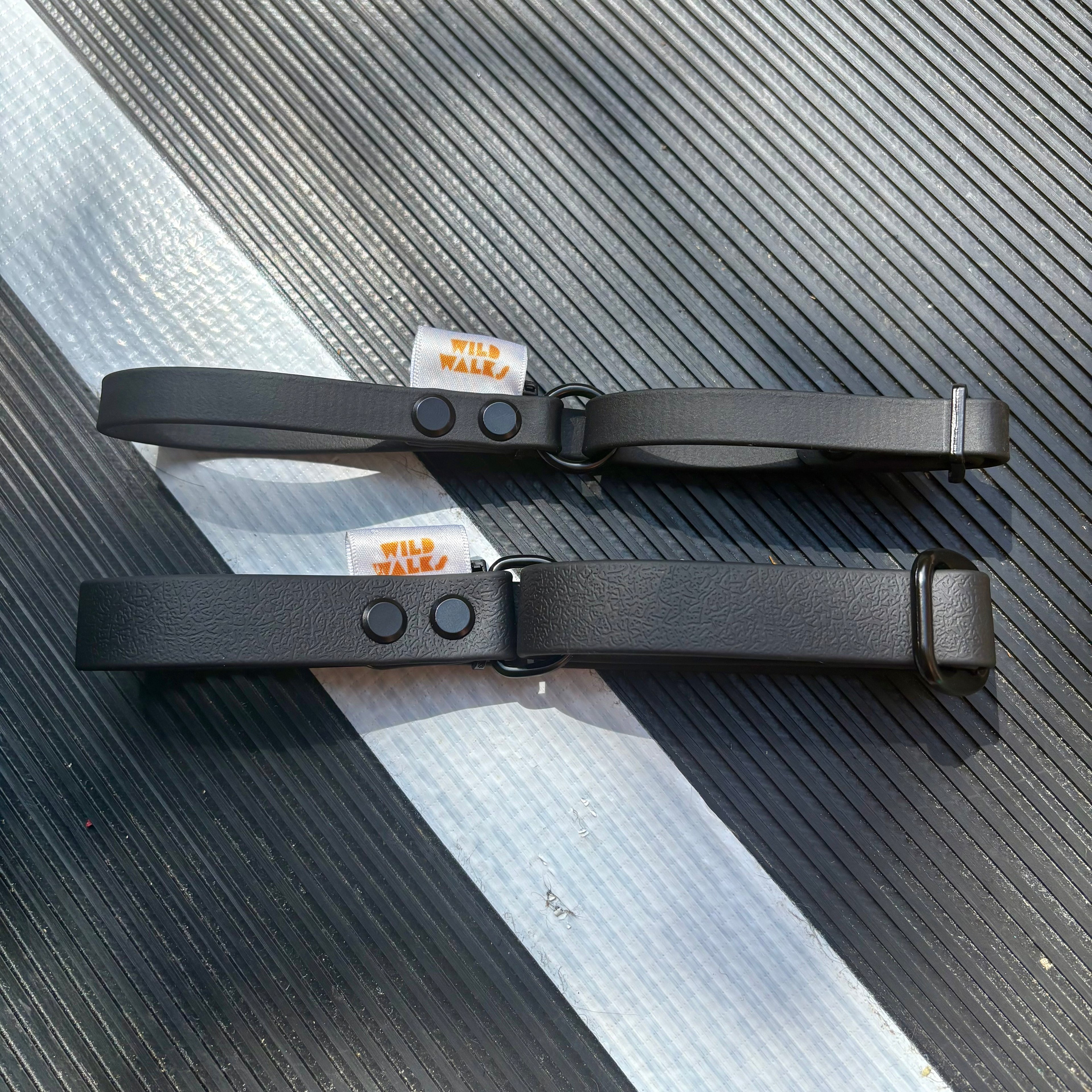 Custom Flyball Racing Collar