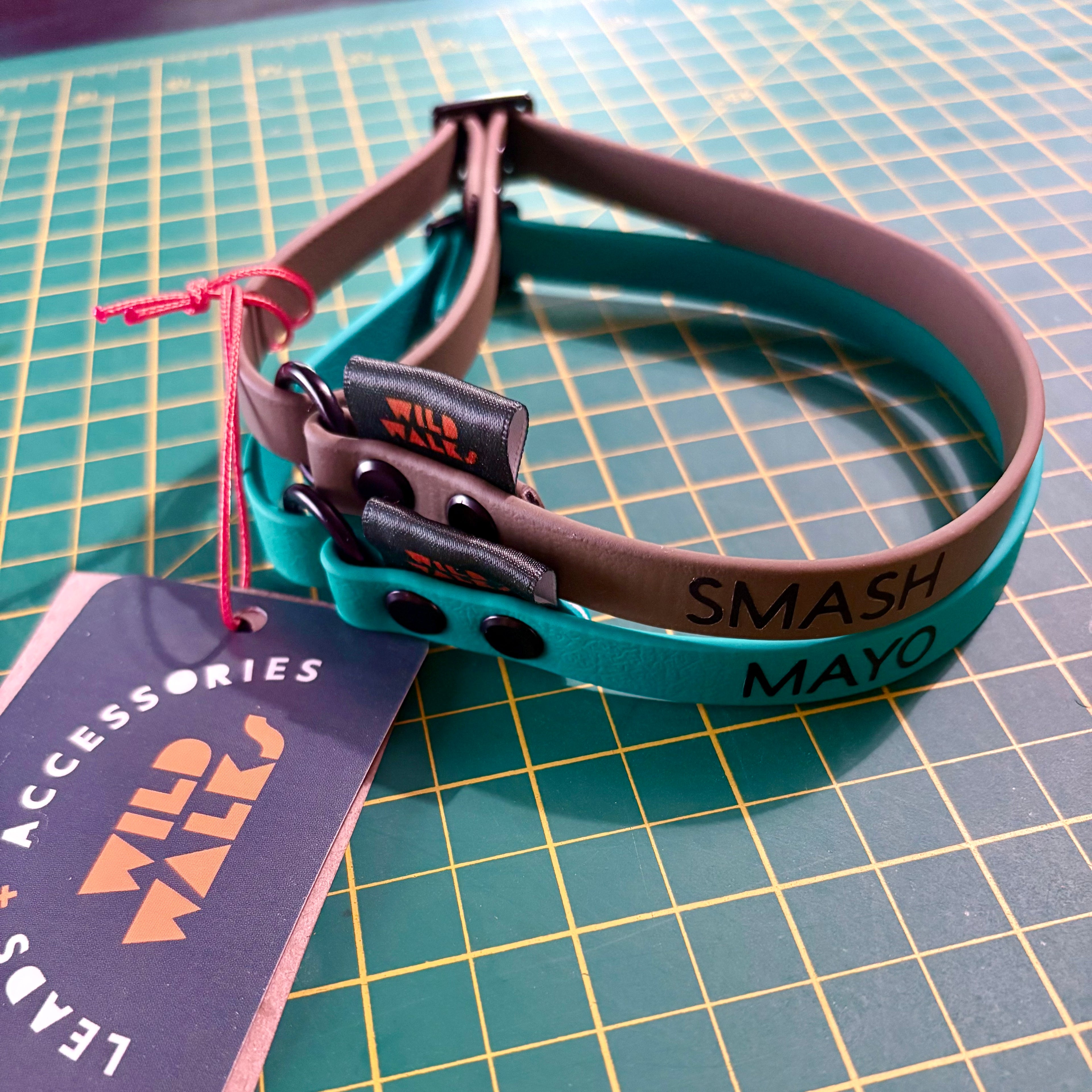 Custom Flyball Racing Collar